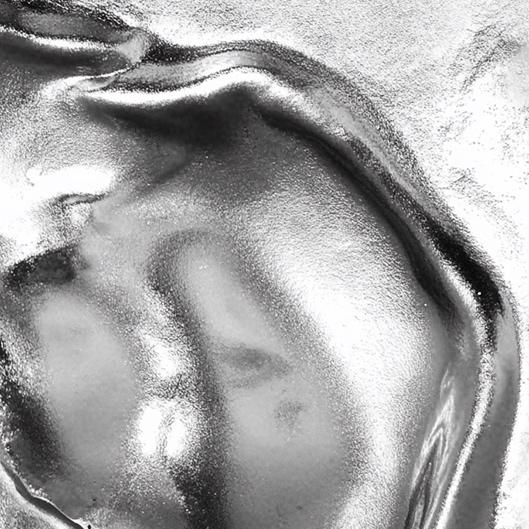 Silver Member~Monthly Membership